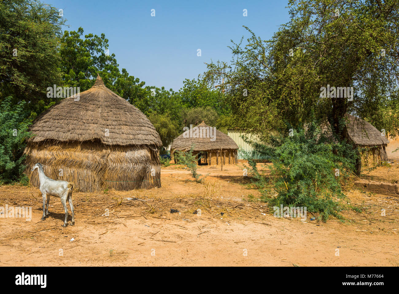 Traditional huts in the National Museum, Niamey, Niger, Africa Stock Photo
