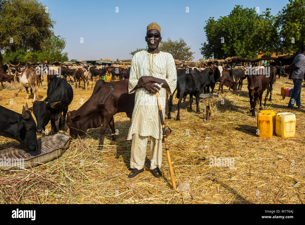 Proud farmer on the animal market in Niamey, Niger, Africa Stock Photo