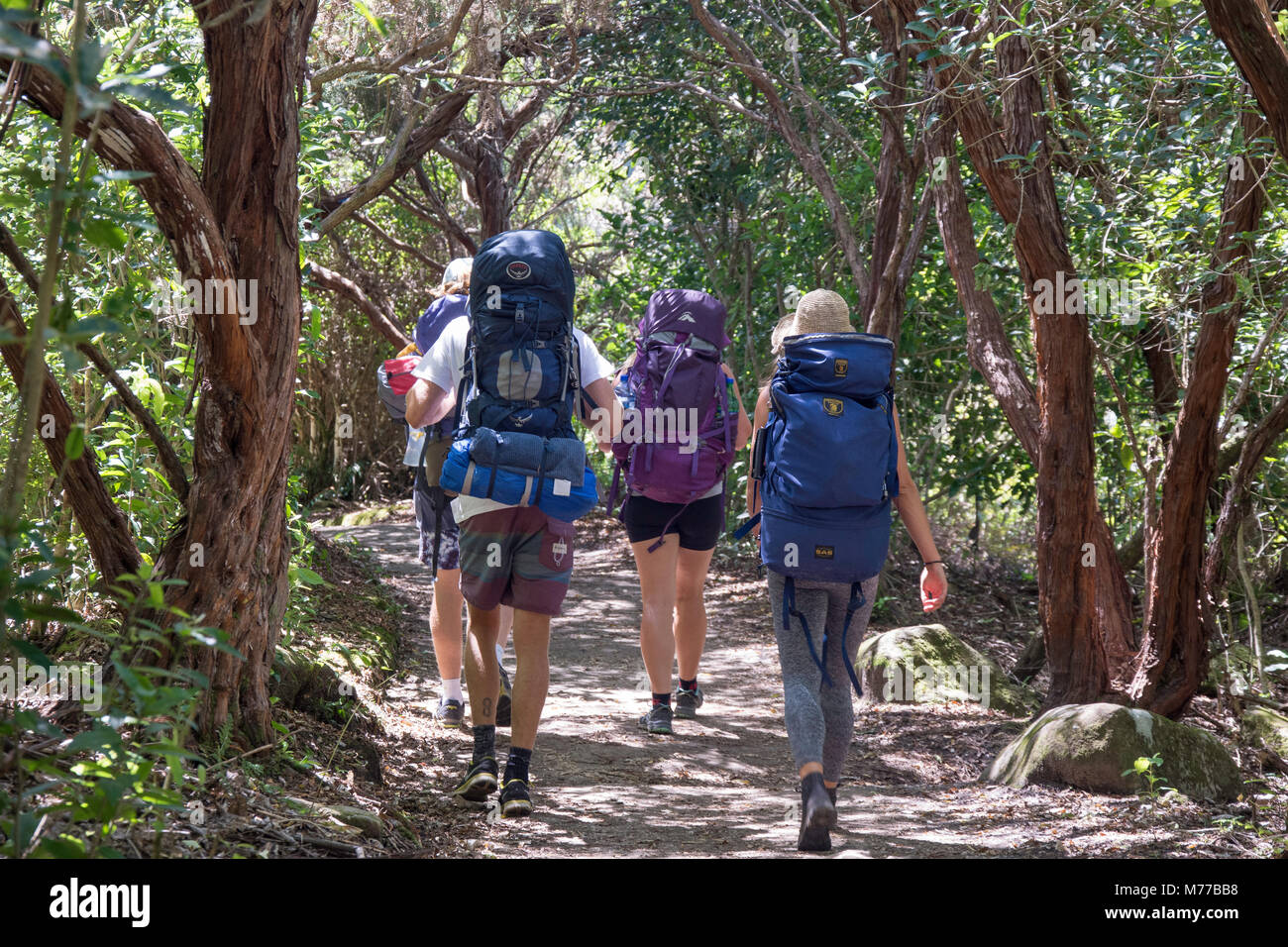 Young backpackers walking on Coastal Track Walkway, Abel Tasman National Park, Marahau, Tasman Bay, Tasman District, New Zealand Stock Photo