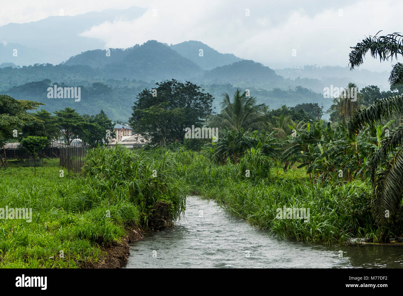 Limbe botanical gardens hires stock photography and images Alamy
