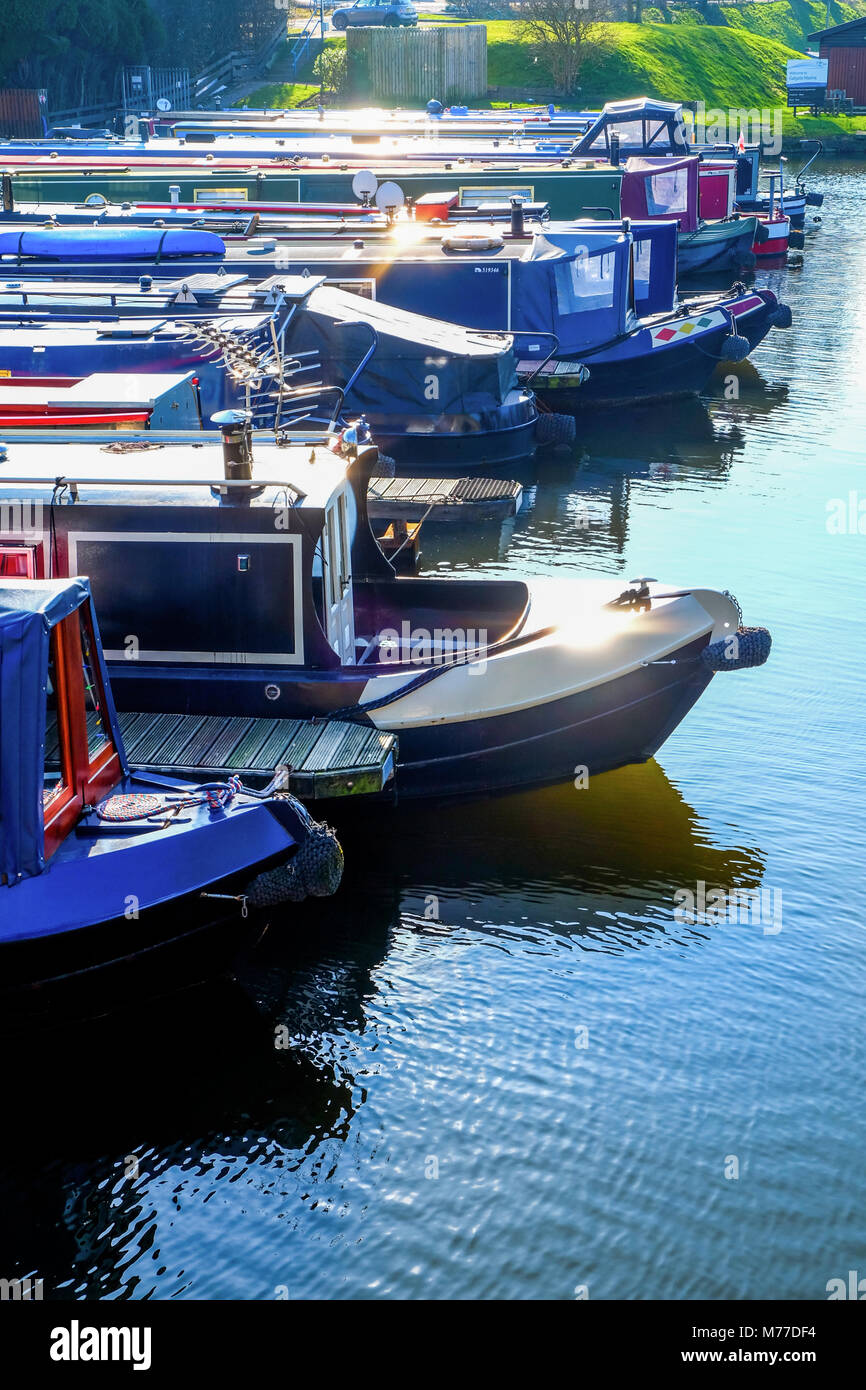 twelve long traditional british blue and red canal boats moored directly next to each other in a canal basin in Galgate, Lancashire the sun is shining Stock Photo