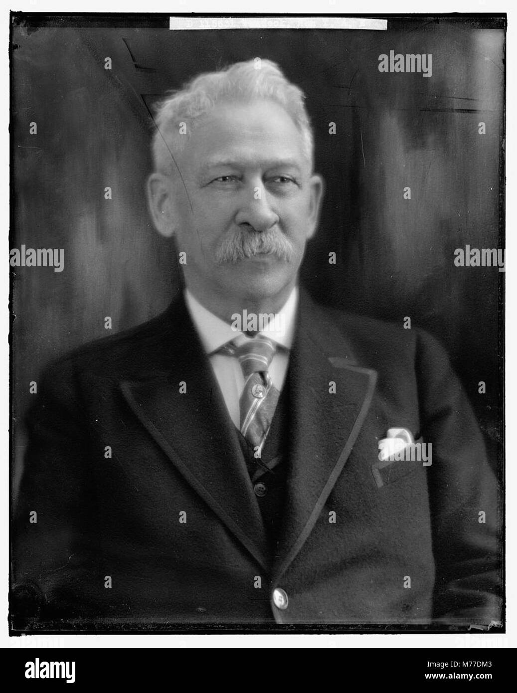 A formal portrait of Honorable T.A.E. Weadock, emphasizing his position ...