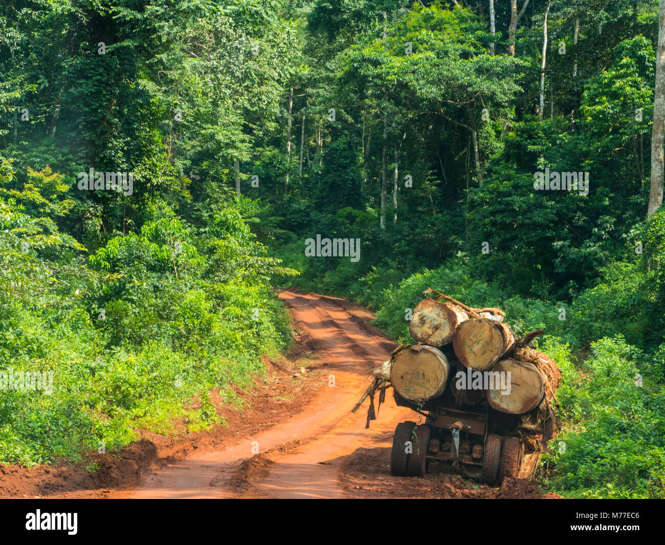 Logging truck in the jungle, Yokadouma, Eastern Cameroon, Africa Stock Photo