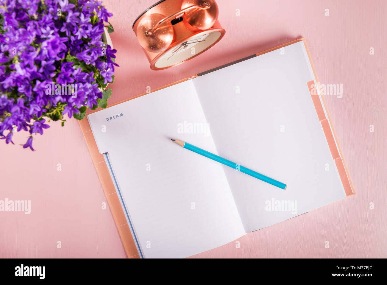 Open Notebook for writing down plans or dreams, girly settings on the