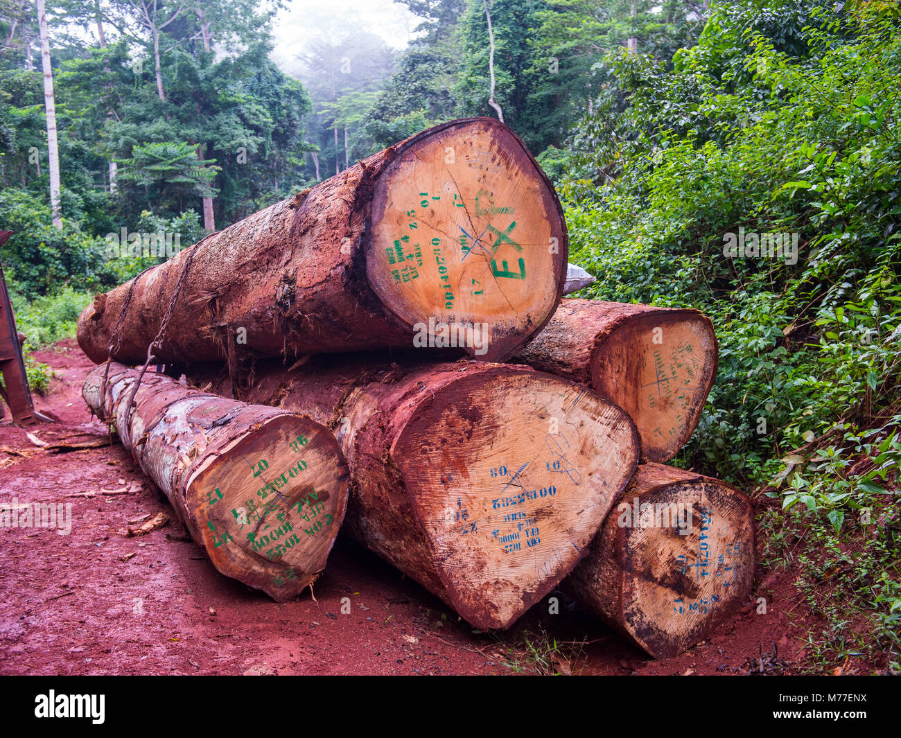 Logging truck, deep in the jungle of Cameroon, Africa Stock Photo