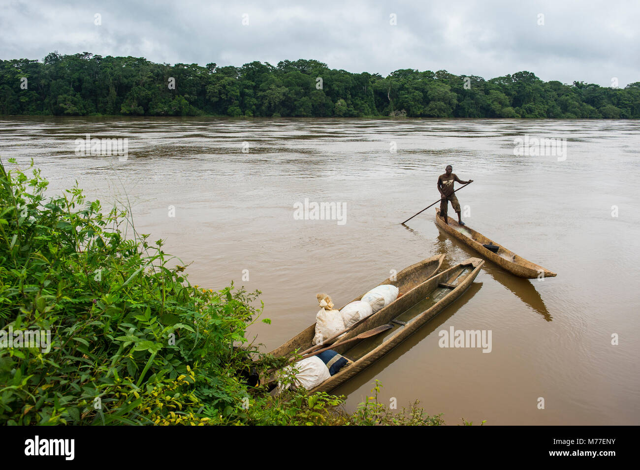 Sangha River, bordering Central African Republic, deep in the jungle of Cameroon, Africa Stock Photo