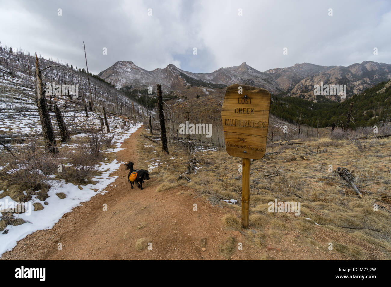 The trail up to Harmonica Arch near Deckers Colorado Stock Photo Alamy