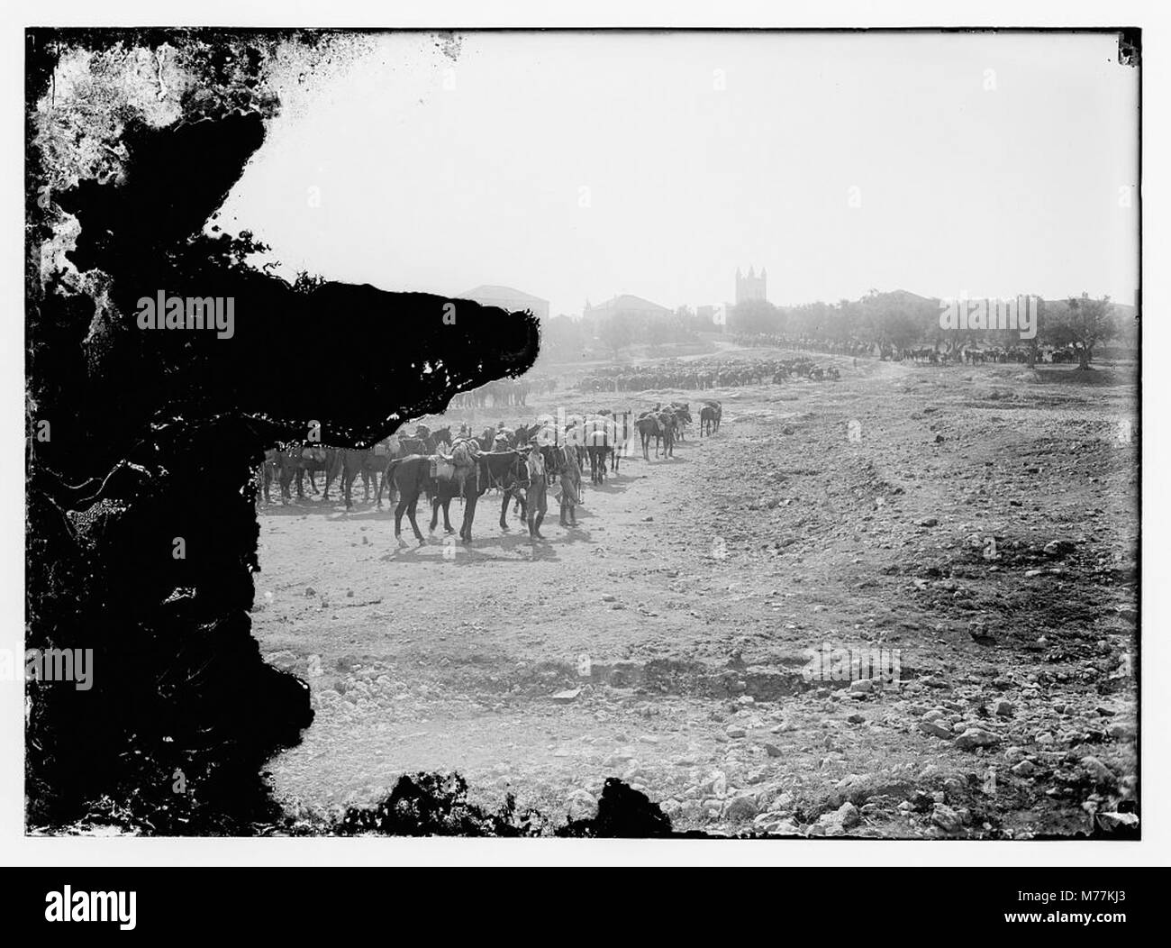 6th Australian light-horse regiment camped in Sheikh Jarrah, on the 