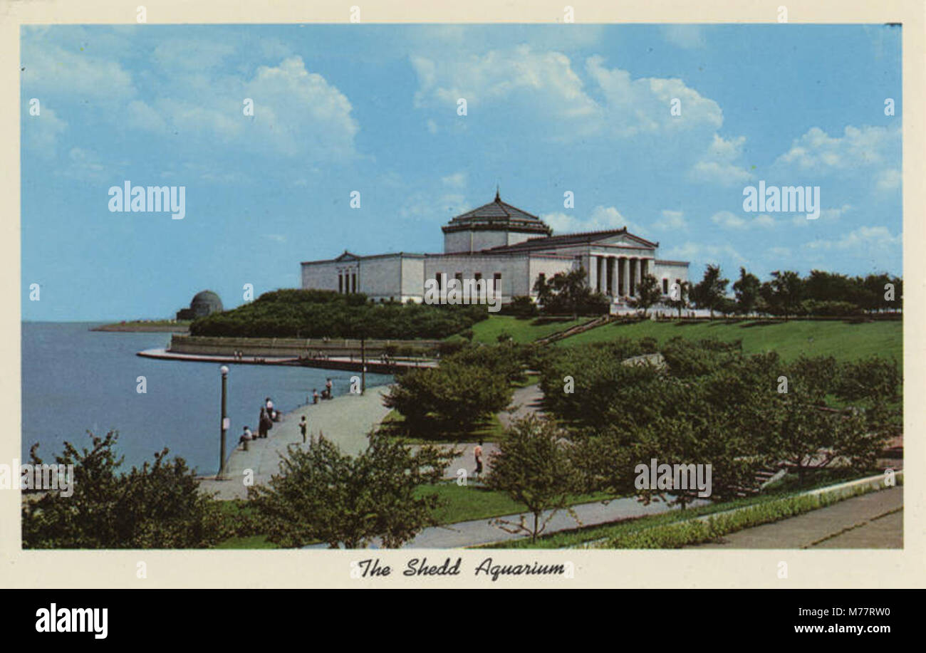 The Shedd Aquarium, located in Chicago, is one of the largest indoor aquariums in the world. The ...