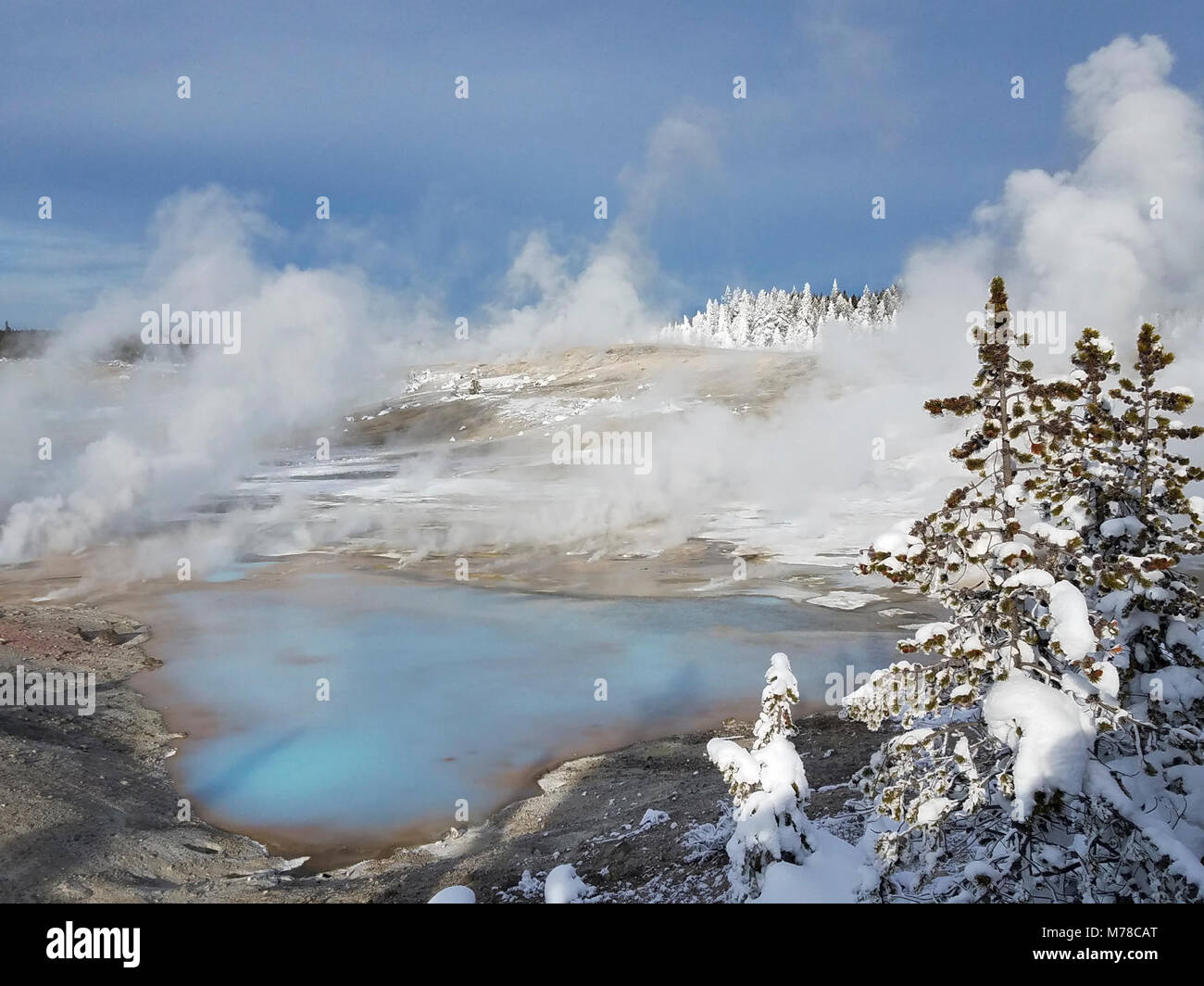 Porcelain Springs at Norris Geyser Basin Stock Photo - Alamy