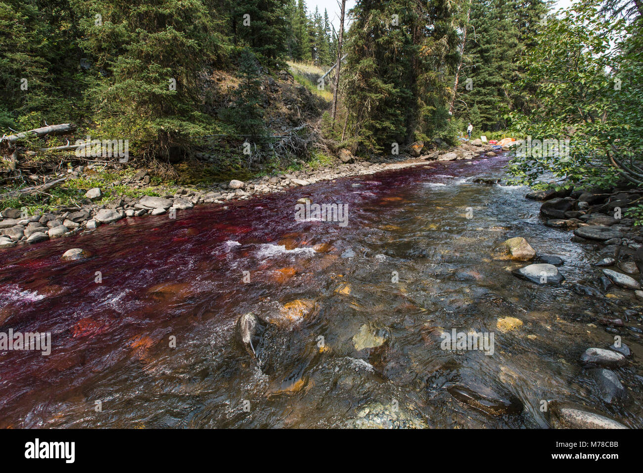 Potassium permanganate colors the water below the station neutralizing