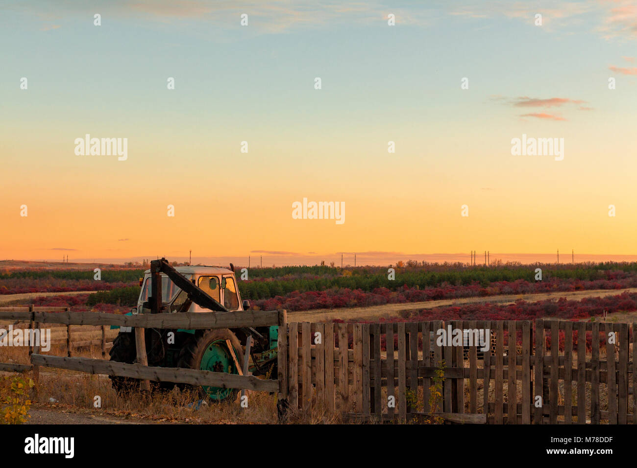 Farm. The green field and a tractor behind a fence Stock Photo - Alamy
