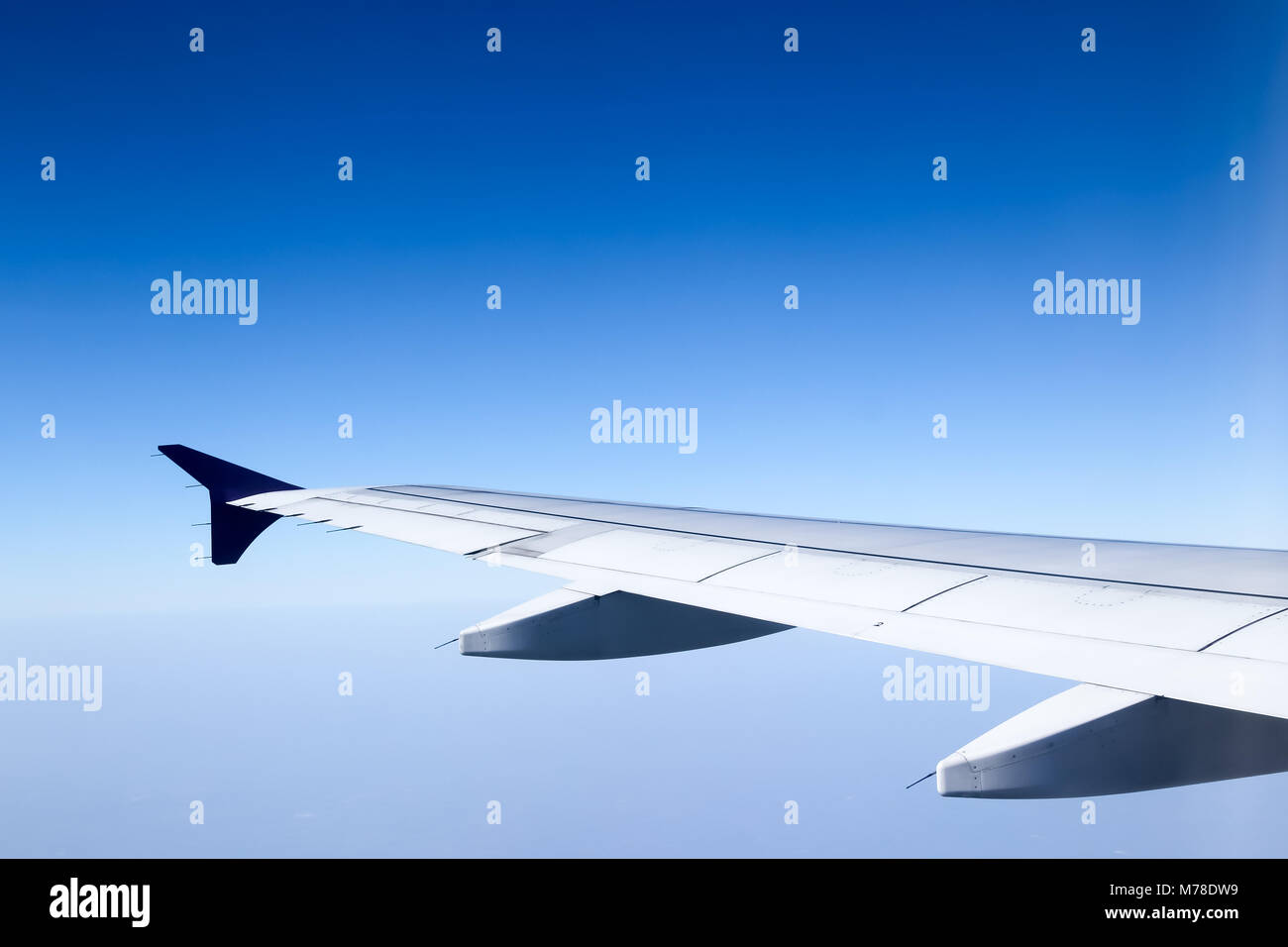 On flight, in the blue sky background, clear sky Stock Photo