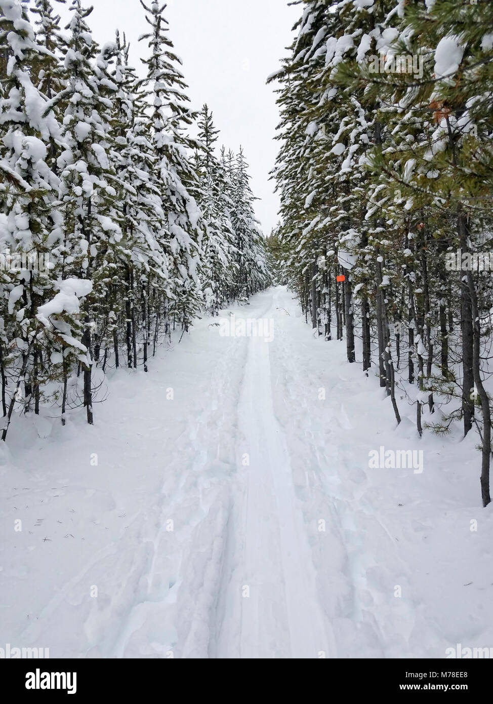 Trail to Kepler Cascades Stock Photo Alamy