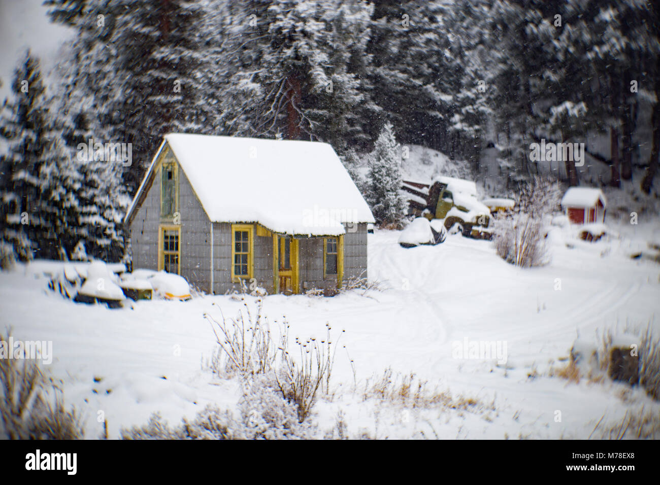 An abandoned cabin in the town of Tower, east of Philipsburg, Montana