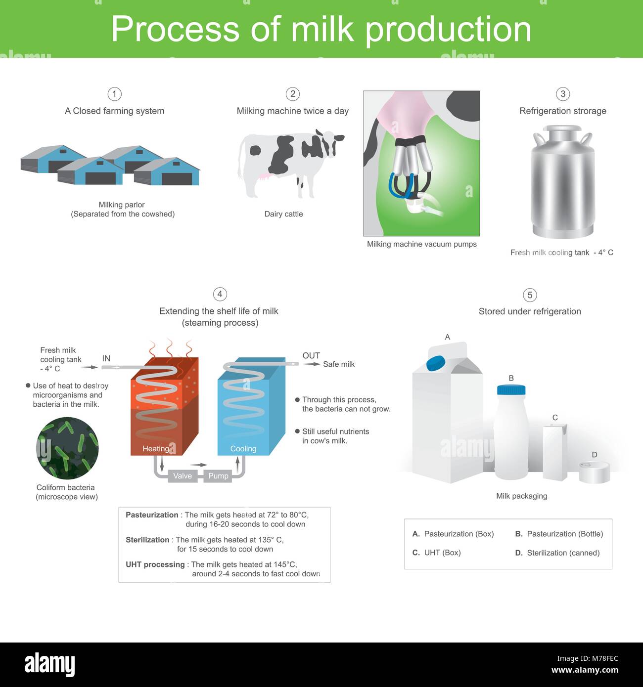 Use of heat to destroy microorganisms and bacteria in the milk. Through this process the bacteria can not grow. This process still useful nutrients in Stock Vector