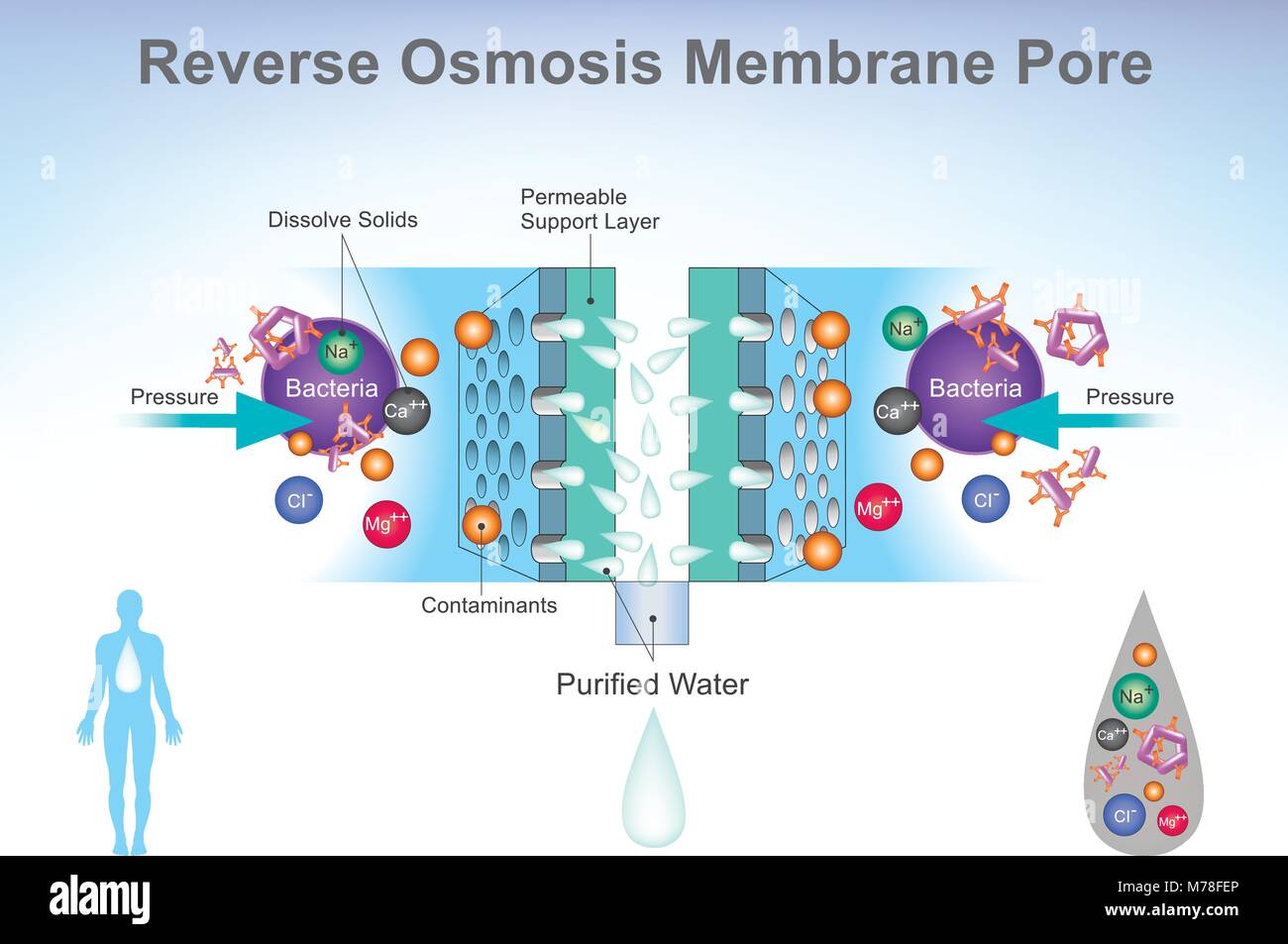 Reverse osmosis (RO) is a water purification technology that uses a semipermeable membrane to remove ions, molecules, and larger particles from drinki Stock Vector