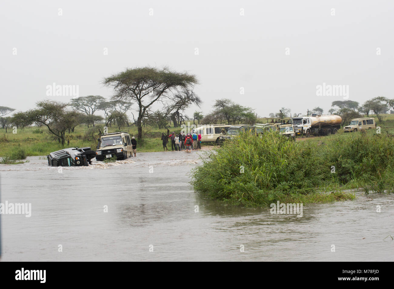 Dangerous washed out road in the Serengeti leads to one overturned SUV and one stuck, the windows had to be broken to allow tourists to climb out Stock Photo
