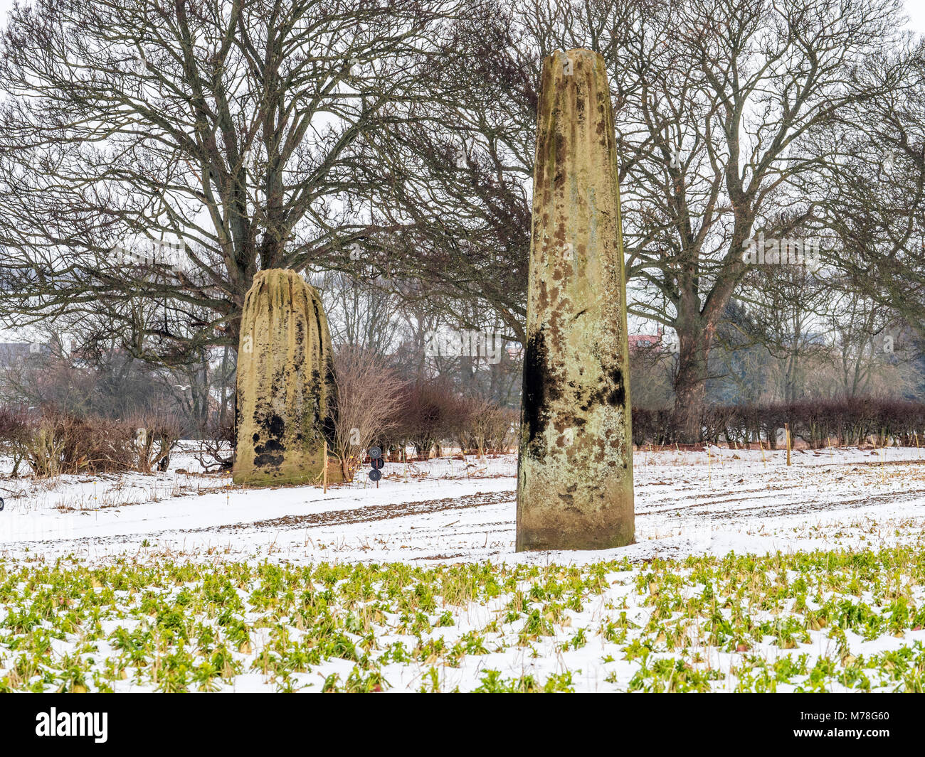 The Devils Arrows prehistoric millstone grit monoliths c2700BC in winter Boroughbridge North Yorkshire England Stock Photo