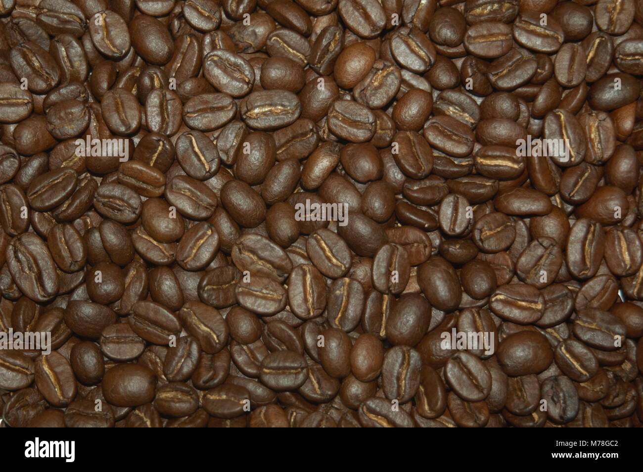 roasted coffee beans What makes a cup of coffee good? Andy sets out to find out and deconstruct the three most important aspects of making the perfect Stock Photo