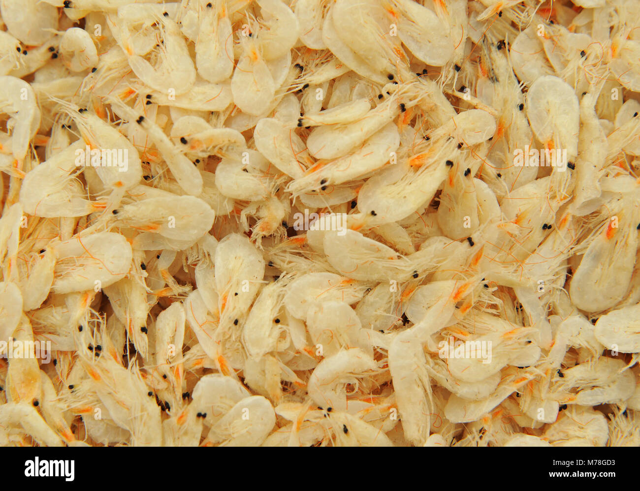 Dried shrimp sale market in hires stock photography and images Alamy