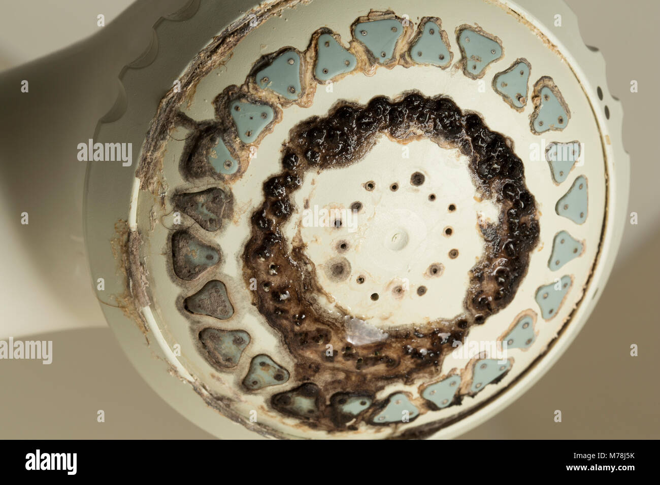 Dirty Shower High Resolution Stock Photography And Images Alamy
