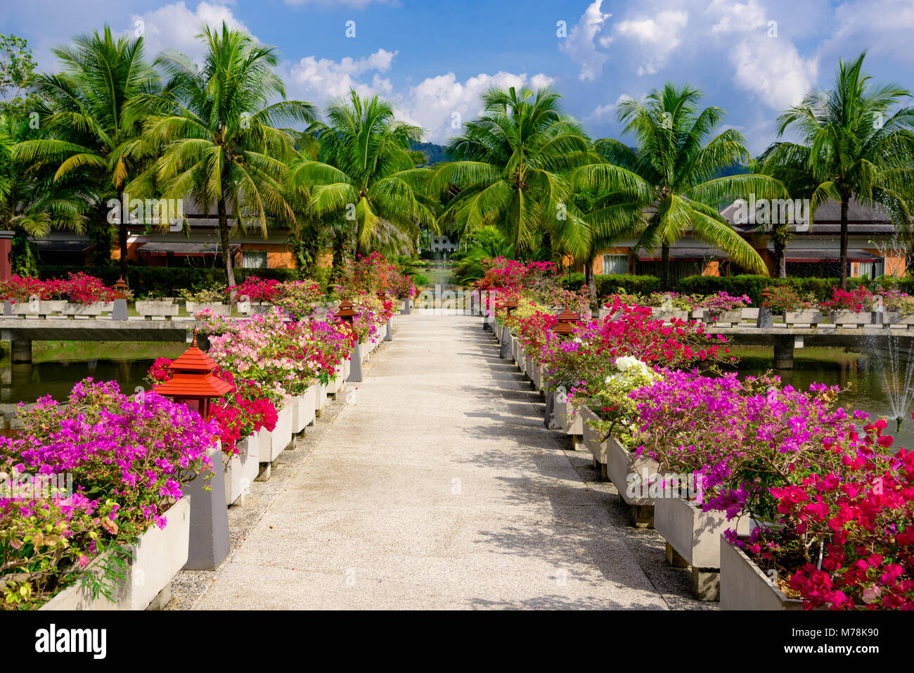 purple pink white red flowers in concrete planters on the edge of the lake bridge with fountains on the background of palm trees and blue sky Stock Photo