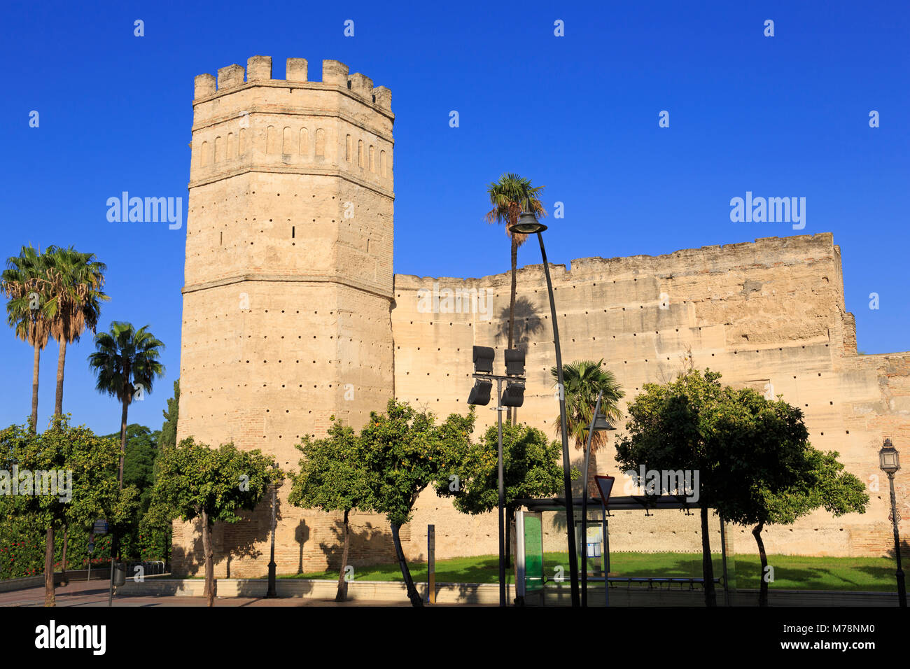 Alcazar Castle, Jerez de la Frontera, Andalusia, Spain, Europe Stock Photo
