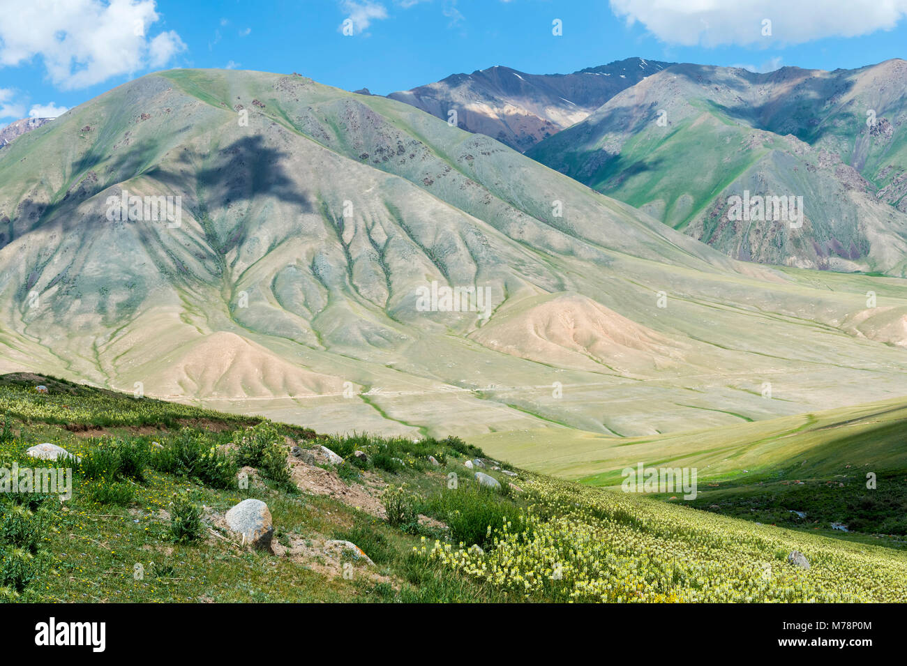 Road to Song Kol Lake, Naryn province, Kyrgyzstan, Central Asia, Asia Stock Photo