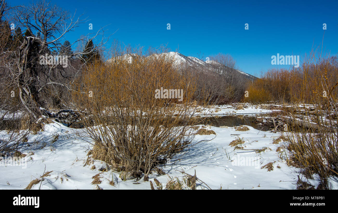 View of mountains on Western shore of Lake Tahoe from Taylor Creek area, California, USA, in the end of the winter of 2018, covered with a very shallo Stock Photo