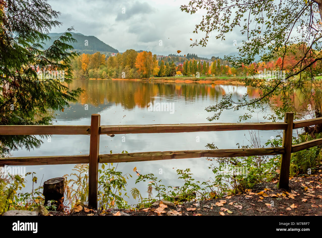 Wooden hedge blocks, falling autumn leaves, the water surface of the ...