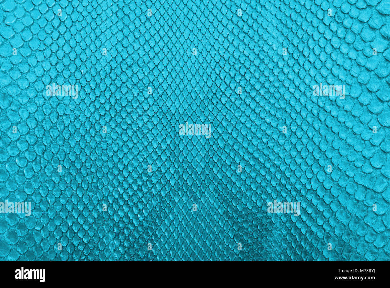Crocodile Skin Texture High Resolution Stock Photography and Images - Alamy