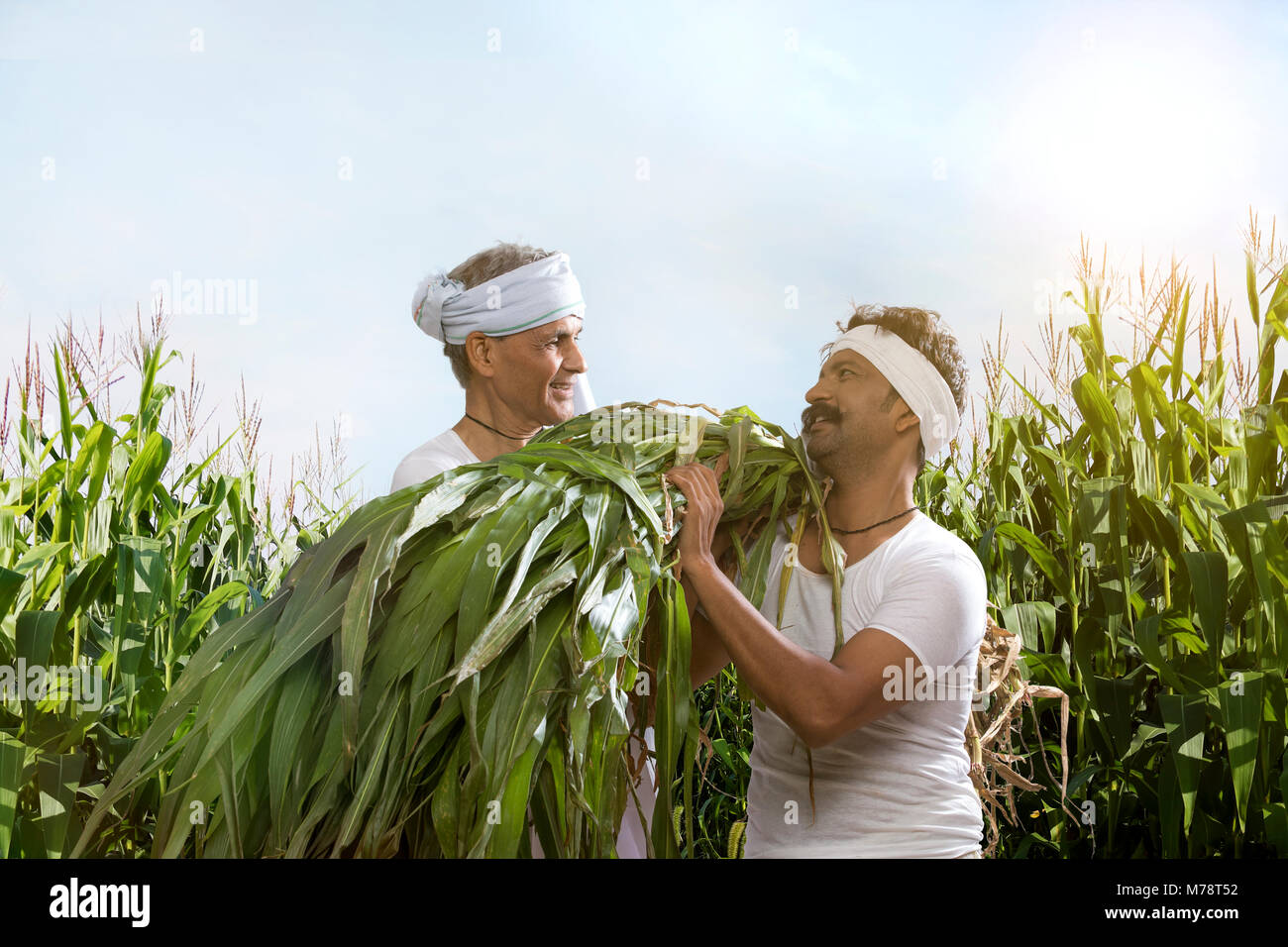 Two farmers working in agriculture farm Stock Photo