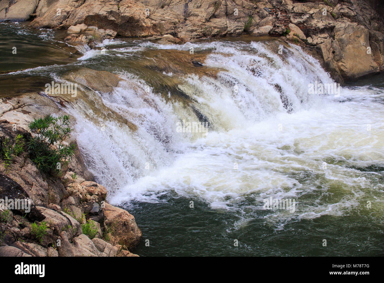 cascade of small shallow foamy mountain river waterfalls in brown ...