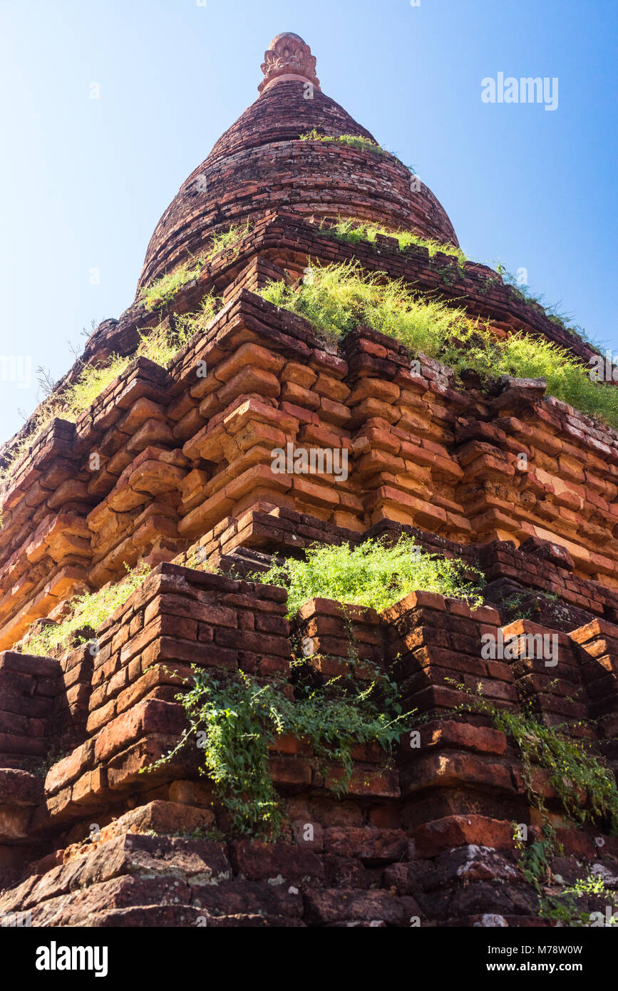 Bagan temple overgrown with weeds and grass in Bagan, Myanmar Stock Photo