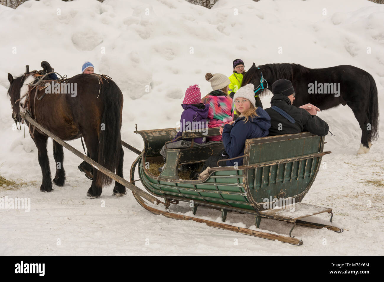 Horse snow sled wood hi-res stock photography and images - Alamy