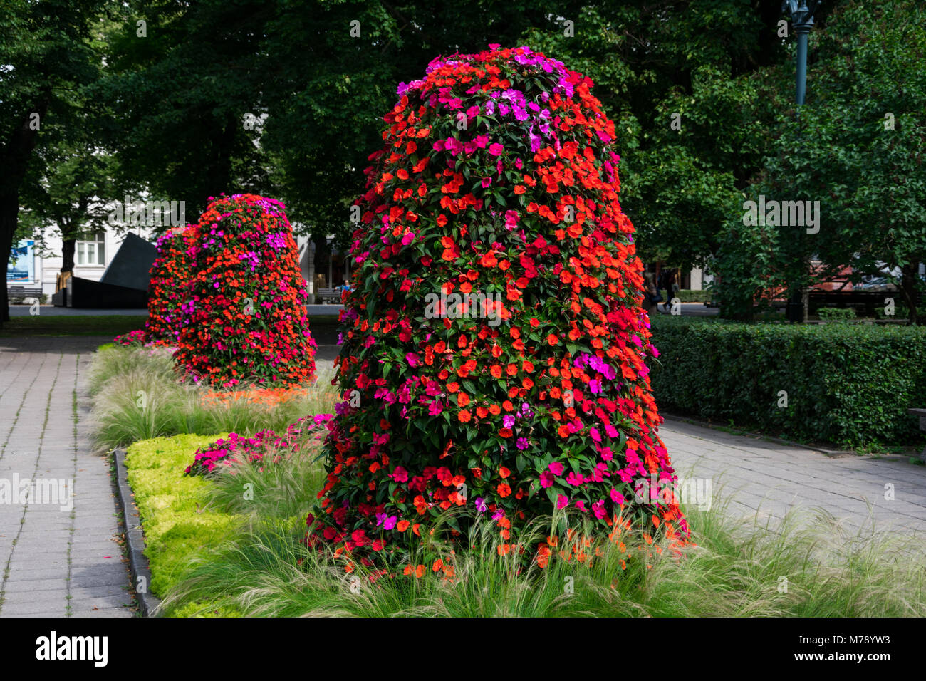 Flower trees at the Esplanade Park. Riga, Latvia Stock Photo