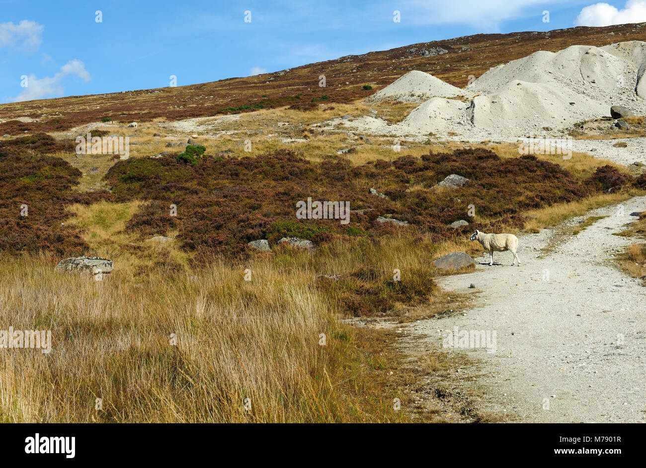 Scenic view in Wicklow Mountains, Ireland Stock Photo