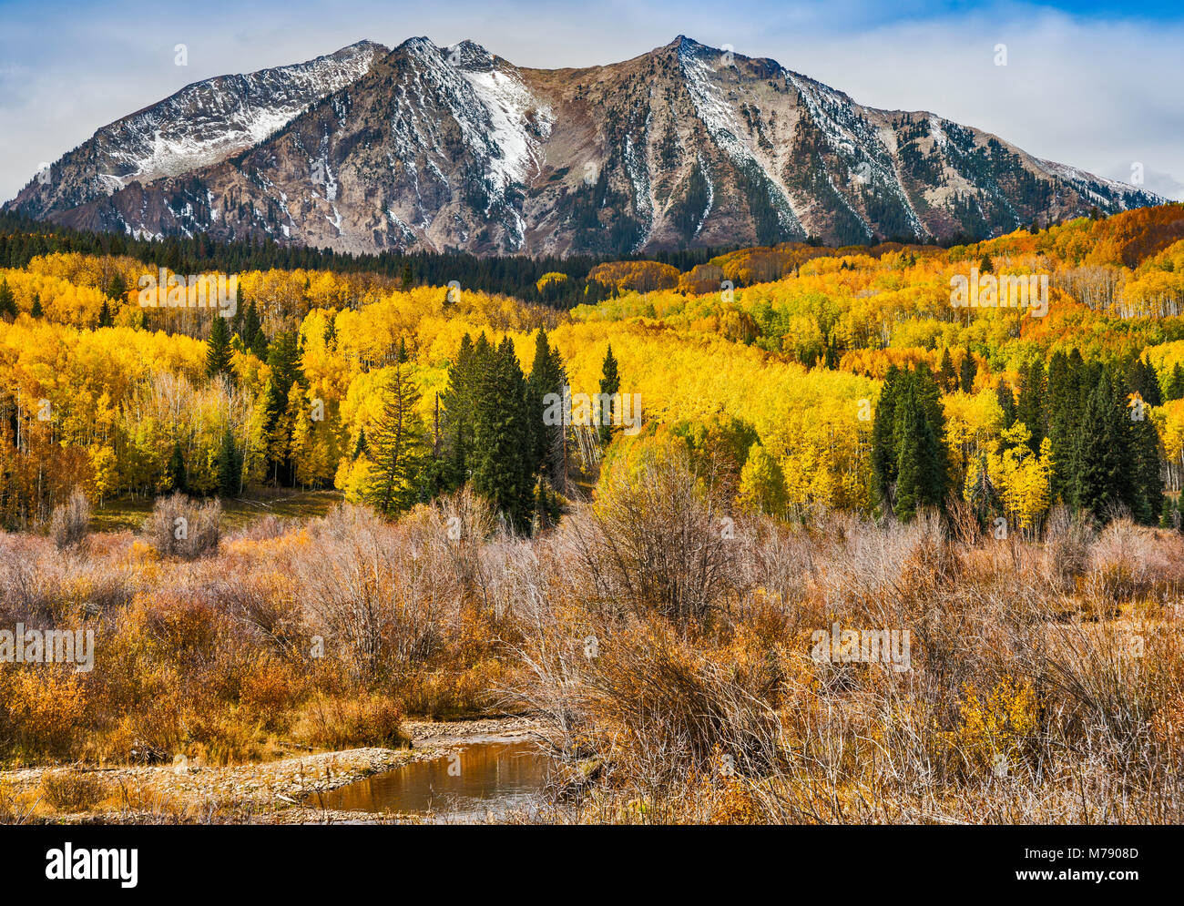 East Beckwith Mountain, aspens in fall foliage, seen from West Elk Loop Scenic Byway, Gunnison National Forest, West Elk Mountains, Colorado, USA Stock Photo