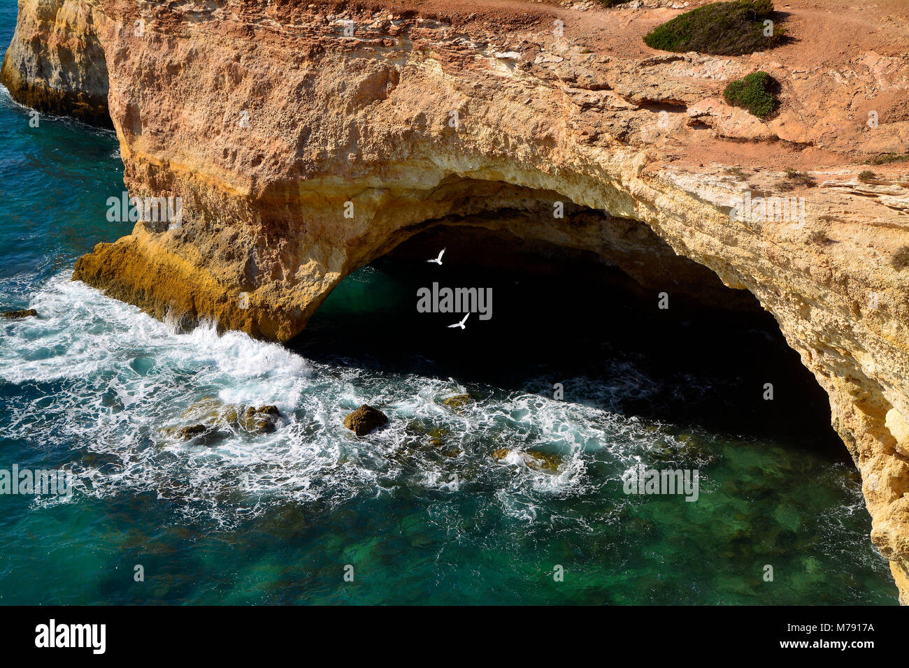 Two birds flying in front of Benagil cave (Portugal) Stock Photo