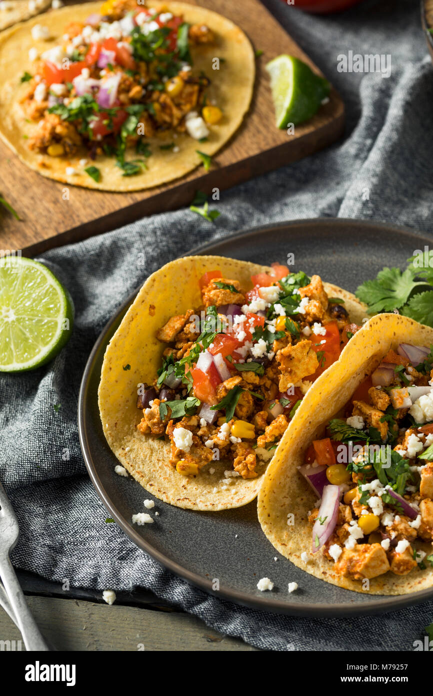 Healthy Homemade Sofritas Tofu Tacos with Tomato Onion and Cilantro