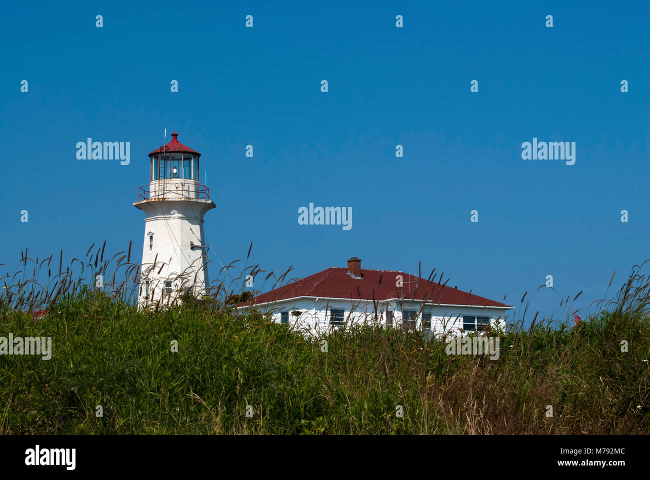 Weathered Machias Seal Island lighthouse on a warm summer day surrounded by vegetation. It is not automated and is manned by Canadian keepers. Stock Photo