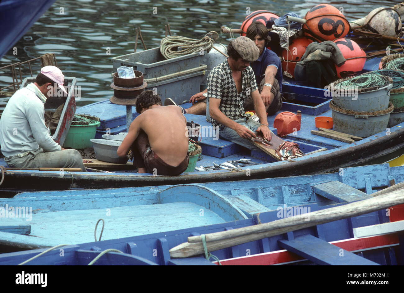 Fishermen on the Portuguese Island of Madeira prepare bait for the night's fishing Stock Photo