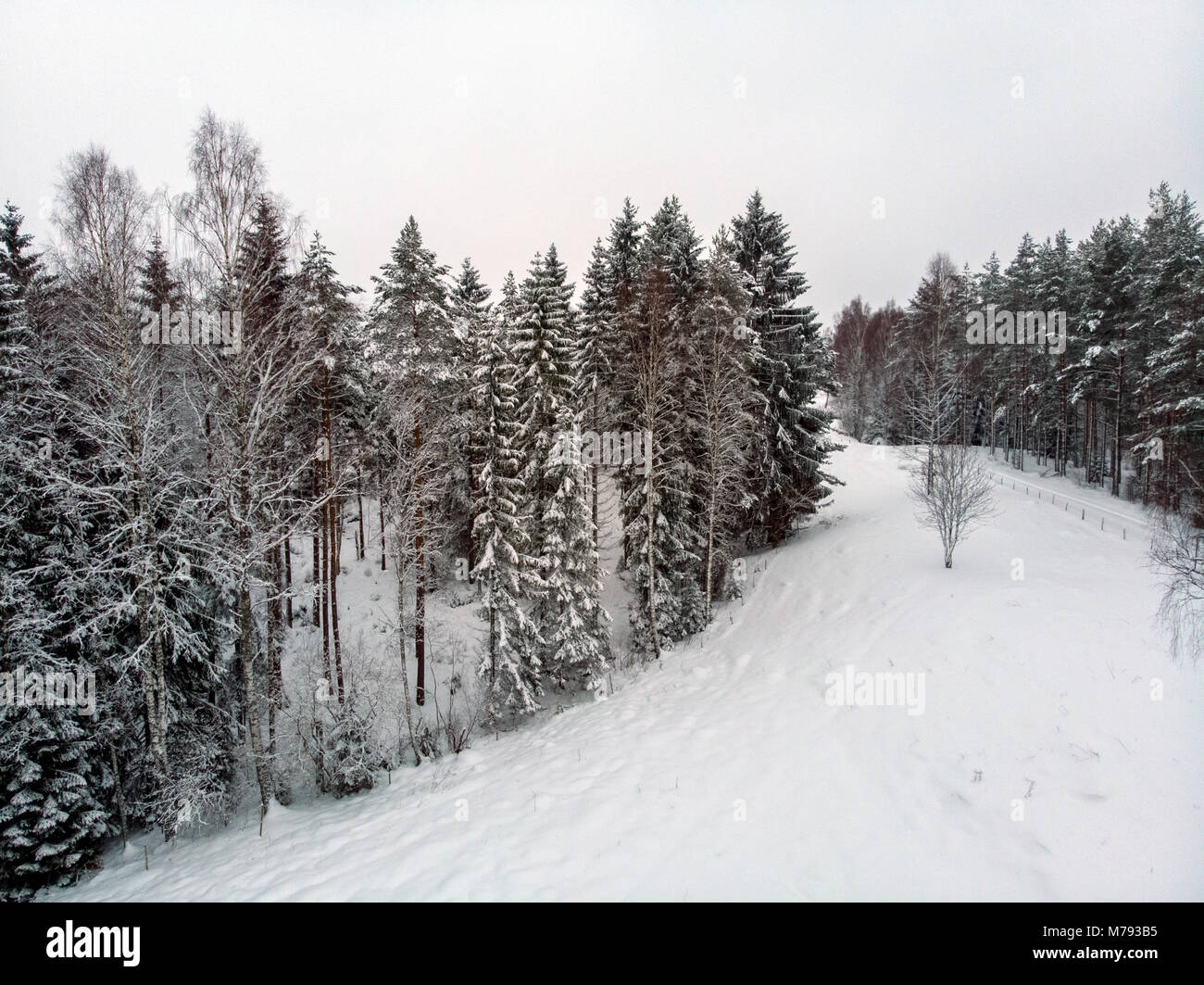 A white blanket over the landscape and snow sprinkled on the trees