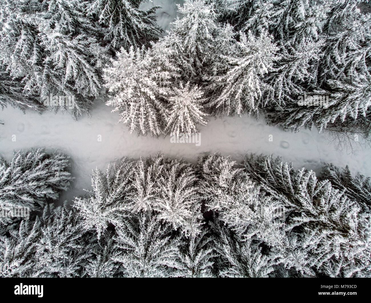 A white blanket over the landscape and snow sprinkled on the trees