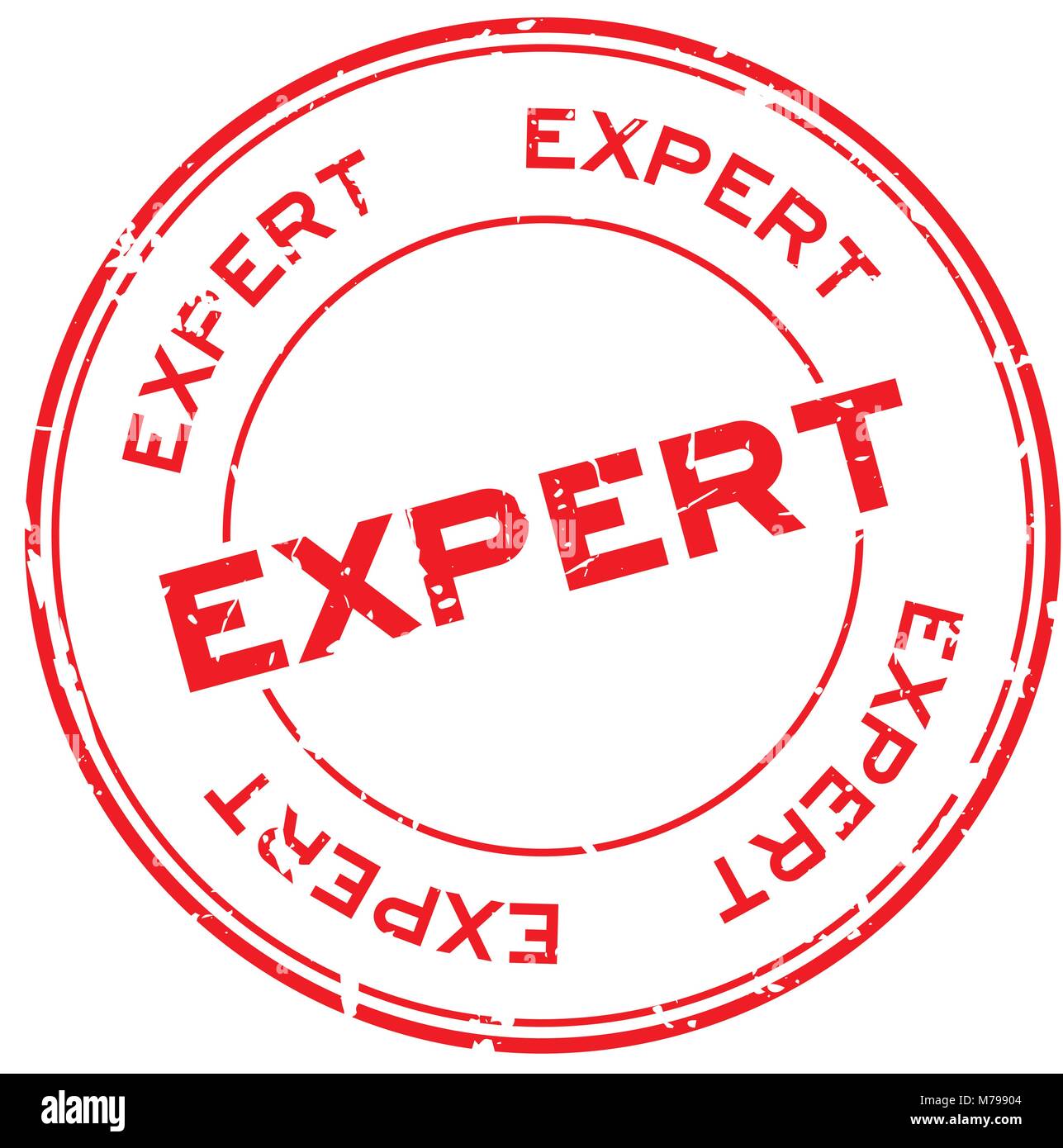Grunge red expert round rubber seal stamp on white background Stock ...