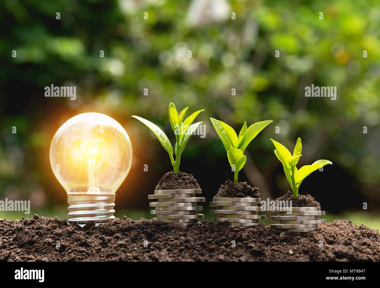 Energy saving light bulb and tree growing on stacks of coins on nature ...