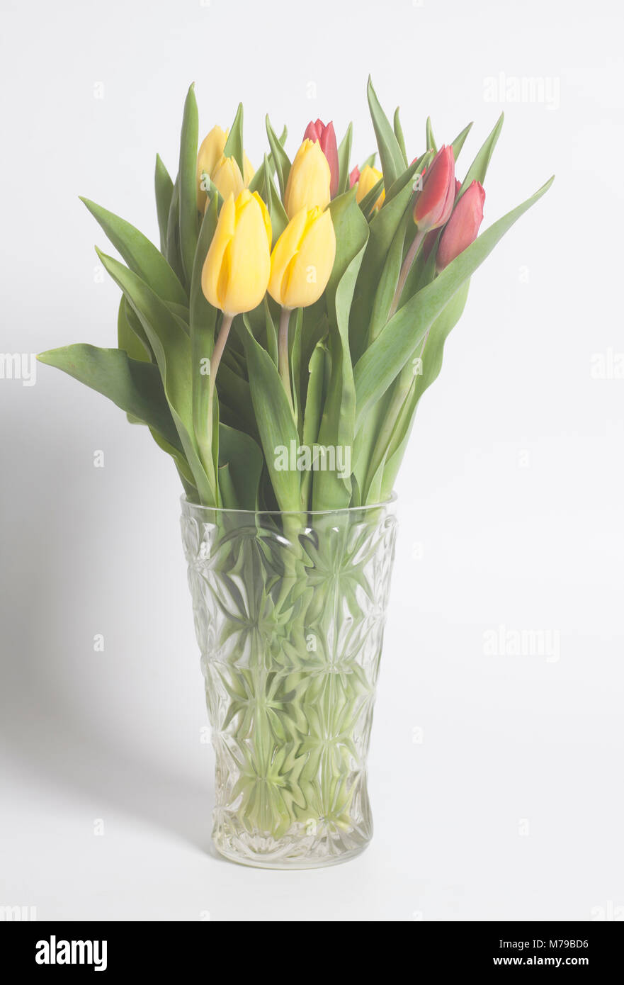 Beautiful spring tulips bouquet on white background Stock Photo - Alamy