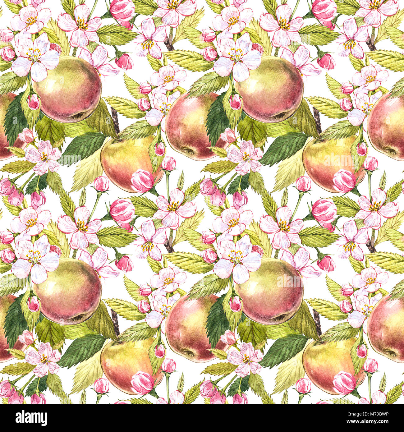 Apple flowers hand drawn seamless pattern watercolor illustration Stock ...