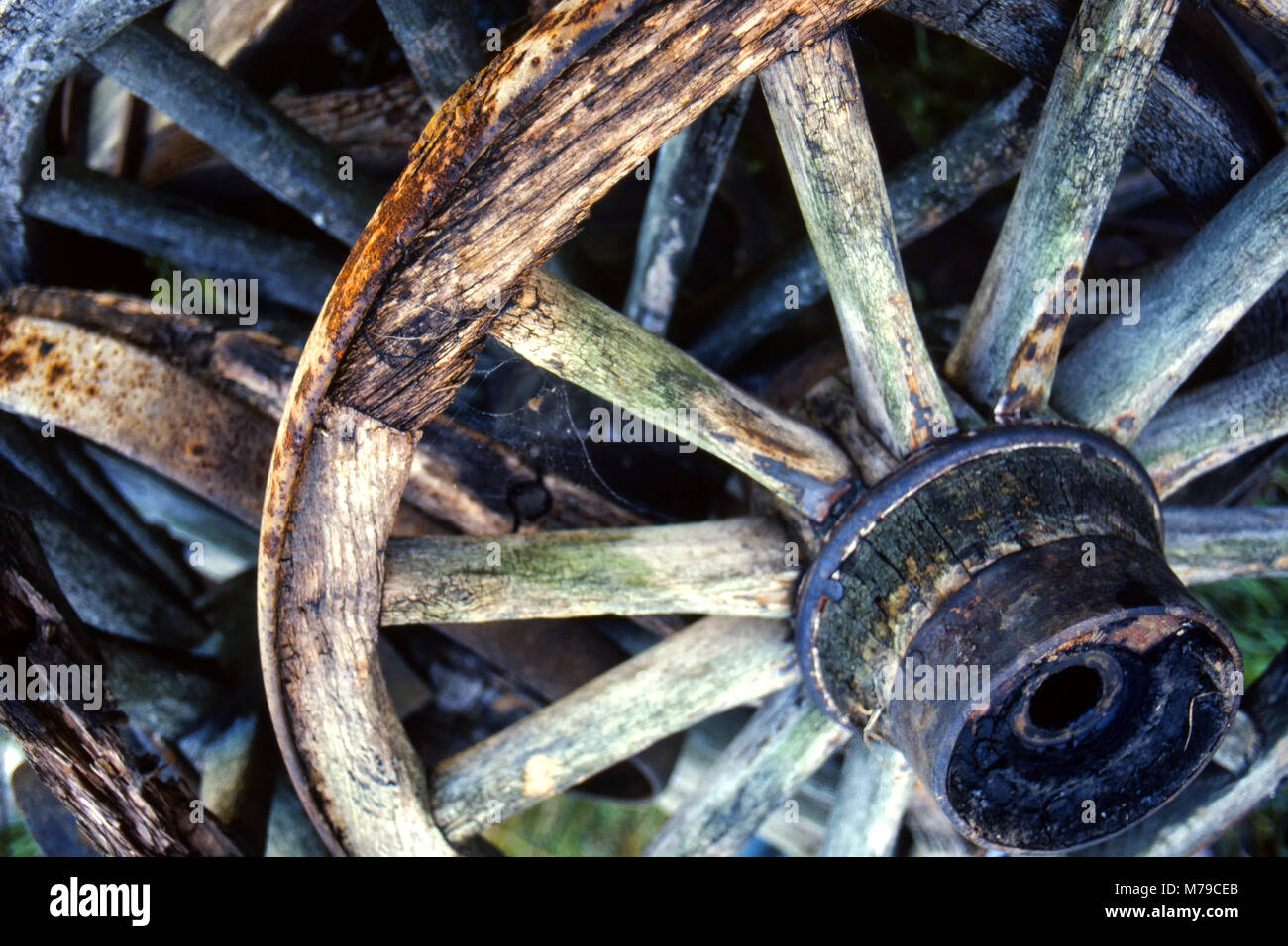 Spoked wooden wheels Stock Photo